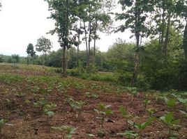  Land for sale in Nikhom Phatthana, Mueang Lampang, Nikhom Phatthana