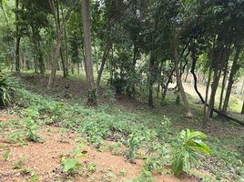  Земельный участок for sale in Mueang Krabi Краби, Ao Nang, Mueang Krabi, Краби, Таиланд
