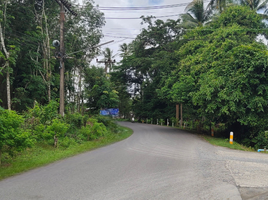  Grundstück zu verkaufen in Thalang, Phuket, Thep Krasattri