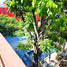 400 SqM Office for rent at The Train Resort, Nong Prue, Pattaya