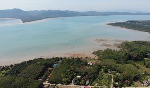 N/A Land for sale in Ko Yao Noi, Phangnga 