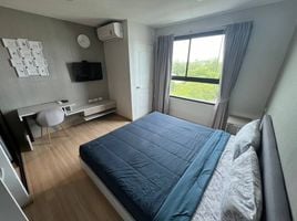 Studio Apartment for sale at Zcape I, Choeng Thale, Thalang