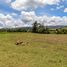  Land for sale in Toca, Boyaca, Toca