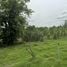  Land for sale in Mueang Nakhon Ratchasima Nakhon Ratchasima, Khok Sung, Mueang Nakhon Ratchasima, Nakhon Ratchasima