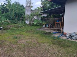 2 Schlafzimmer Haus zu verkaufen in Mae Lao, Chiang Rai, Bua Sali, Mae Lao