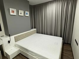 1 Schlafzimmer Wohnung zu vermieten im Wyne Sukhumvit, Phra Khanong