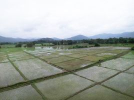  Grundstück zu verkaufen in San Sai, Chiang Mai, Nong Yaeng, San Sai