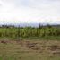  Land for sale in Ibarra, Imbabura, Ibarra