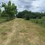  Land for sale in Nong O, Ban Pong, Nong O