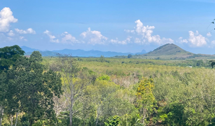 N/A Land for sale in Pa Khlok, Phuket 