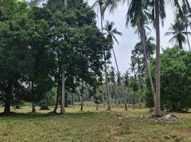  Land for sale in AsiaVillas, Na Mueang, Koh Samui, Surat Thani, Thailand