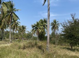  Grundstück zu verkaufen in Mueang Prachuap Khiri Khan, Prachuap Khiri Khan, Ko Lak