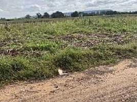  Land for sale in Pak Thong Chai, Nakhon Ratchasima, Takhop, Pak Thong Chai