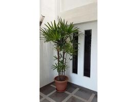 4 Bedroom Apartment for rent at Dominguez Beach: Large 4 bedroom beach apartment, Manglaralto