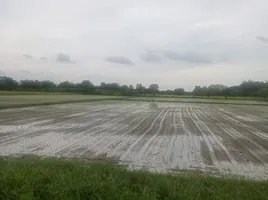 ขายที่ดิน ใน เมืองขอนแก่น ขอนแก่น, พระลับ