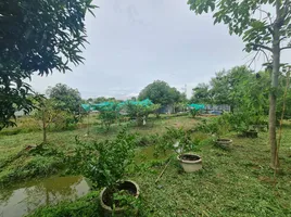  Grundstück zu verkaufen in Khlong Luang, Pathum Thani, Khlong Ha