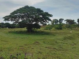  Grundstück zu verkaufen in Pangasinan, Ilocos, Mangatarem, Pangasinan