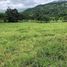  Land for sale in Guanacaste, Tilaran, Guanacaste