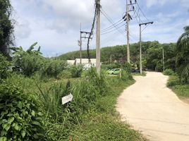  Grundstück zu verkaufen in Thalang, Phuket, Pa Khlok