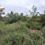  Land for sale in Prachuap Khiri Khan, Hua Hin City, Hua Hin, Prachuap Khiri Khan