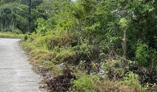 N/A Land for sale in Ratsada, Phuket 