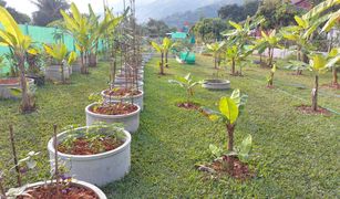 N/A Grundstück zu verkaufen in , Chiang Rai 