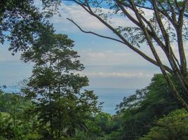 2 Schlafzimmer Haus zu verkaufen im Ojochal, Osa, Puntarenas