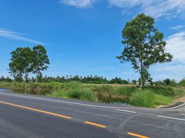  Grundstück zu verkaufen in Mueang Phetchaburi, Phetchaburi, Bang Chan