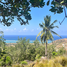  Land for sale in Praya Barat, Lombok Tengah, Praya Barat