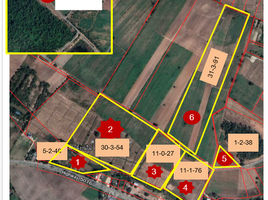  Land for sale in Phrai Nok Yung, Hankha, Phrai Nok Yung