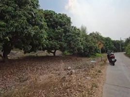  Land for sale in Chiang Mai, Thung Satok, San Pa Tong, Chiang Mai