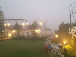 25 Schlafzimmer Hotel / Resort zu vermieten in Nong Mae Na, Khao Kho, Nong Mae Na