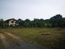  Land for sale in Buddhist Temple, Takhian Tia, Bueng