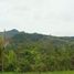  Land for sale in Penonome, Cocle, Toabre, Penonome