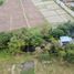  Land for sale in Rong Wua Daeng, San Kamphaeng, Rong Wua Daeng