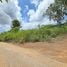  Land for sale in Sattahip Chon Buri, Na Chom Thian