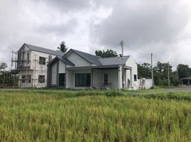 3 Schlafzimmer Haus zu verkaufen im IM Home, Talat Khwan, Doi Saket