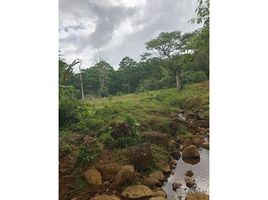  Land for sale in Guatuso, Alajuela, Guatuso