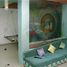 3 Bedroom Apartment for sale at near nandeshwar mahadev, Ahmadabad, Ahmadabad, Gujarat