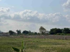  Land for sale in Air Force Institute Of Aviation Medicine, Sanam Bin, Tha Raeng