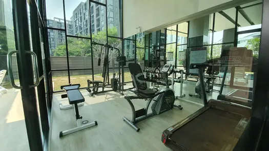 Photos 1 of the Communal Gym at Palm Springs Nimman Phoenix