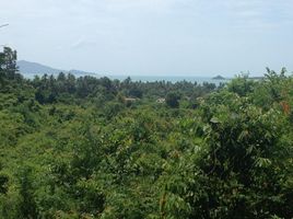  Land for sale in Surat Thani, Bo Phut, Koh Samui, Surat Thani