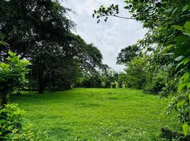  Land for sale in Pococi, Limon, Pococi