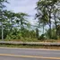  Land for sale in Phuket, Thep Krasattri, Thalang, Phuket