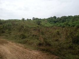  Land for sale in Pak Tom, Chiang Khan, Pak Tom