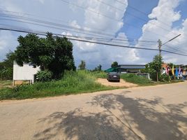  Land for sale in Yang Tan, Krok Phra, Yang Tan