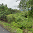  Land for sale in Surat Thani, Khlong Sok, Phanom, Surat Thani