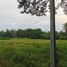  Land for sale in Ban Pong, Ratchaburi, Nakhon Chum, Ban Pong