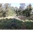  Land for sale in Valdivia, Los Rios, Mariquina, Valdivia