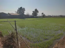  Grundstück zu verkaufen in Mueang Chiang Rai, Chiang Rai, Mae Kon, Mueang Chiang Rai, Chiang Rai, Thailand